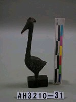 藏品(大水鳥)的圖片